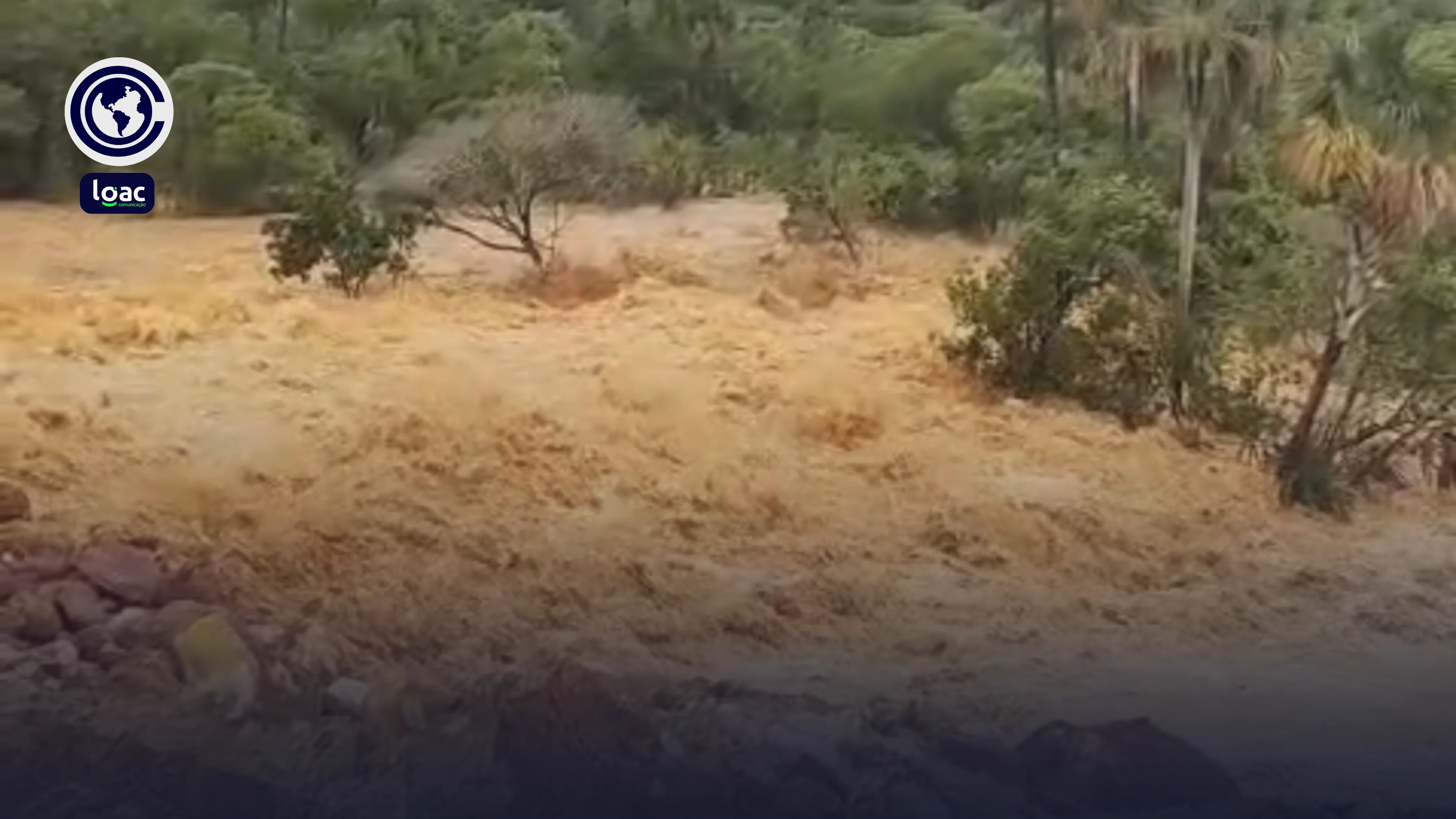 Bombeiros atendem ocorrência de rompimento parcial de barragem em Ponte Alta do Bom Jesus, no Tocantins